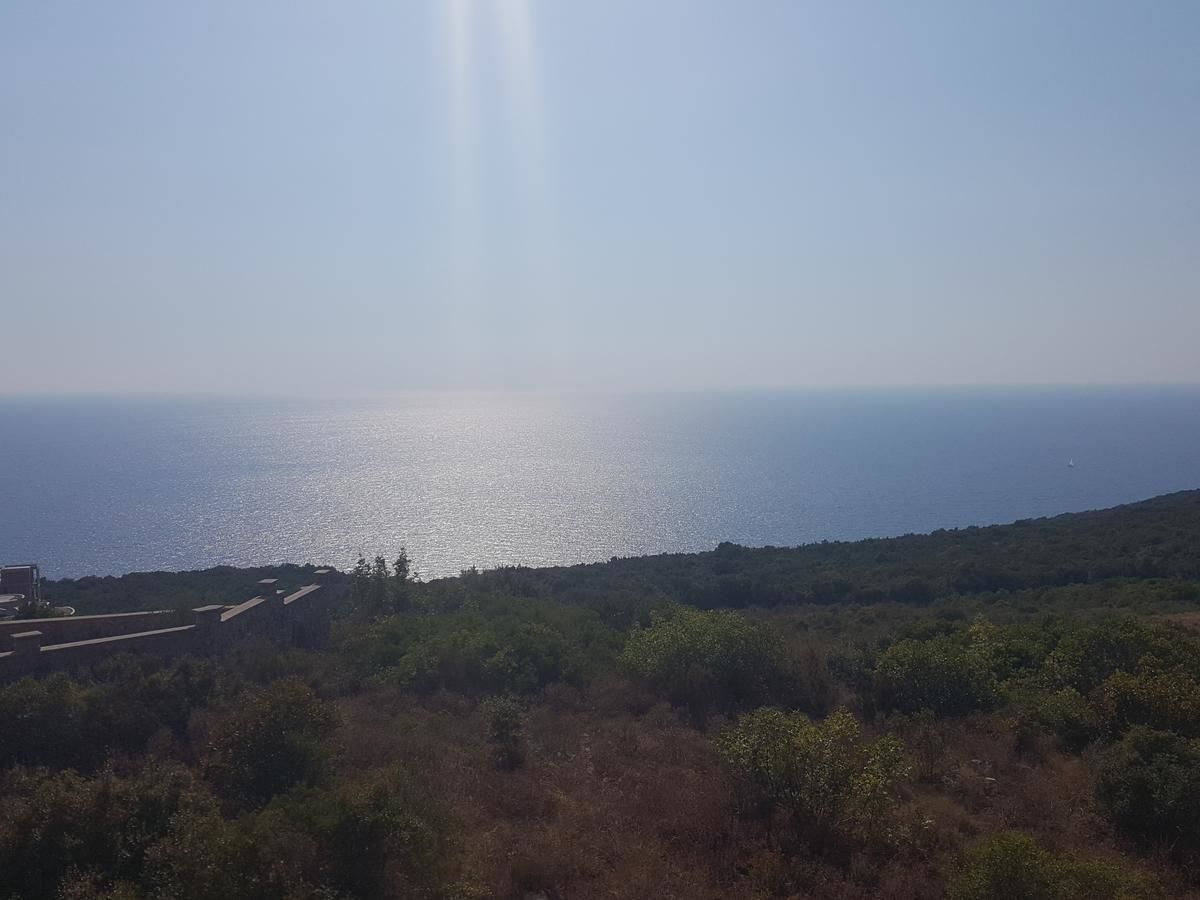 Апартаменты Apartment Vila Mirela Кримовица