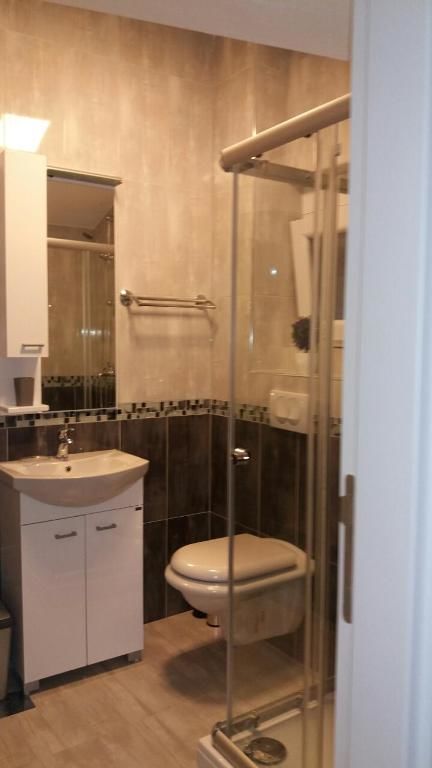 Апартаменты Apartment Vila Mirela Кримовица