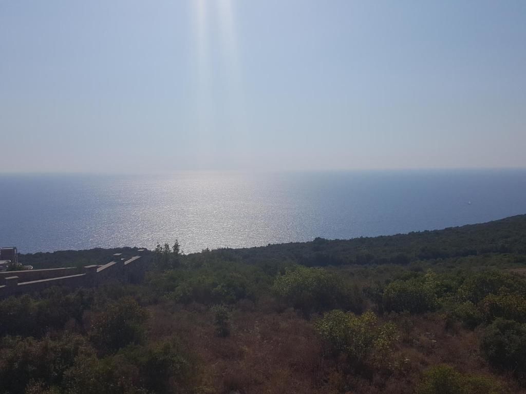 Апартаменты Apartment Vila Mirela Кримовица