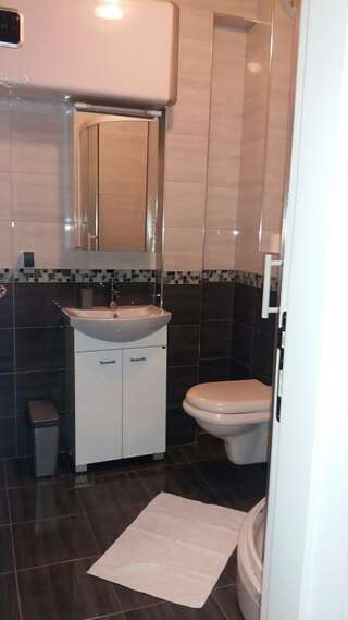 Апартаменты Apartment Vila Mirela Кримовица Апартаменты с 1 спальней-36