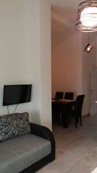 Апартаменты Apartment Vila Mirela Кримовица Апартаменты с 1 спальней-40