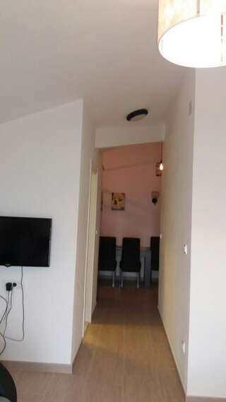 Апартаменты Apartment Vila Mirela Кримовица Апартаменты с 1 спальней-44