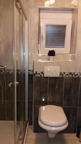 Апартаменты Apartment Vila Mirela Кримовица Апартаменты с 1 спальней-49