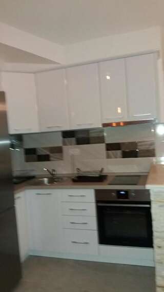 Апартаменты Apartment Vila Mirela Кримовица Апартаменты с 1 спальней-56