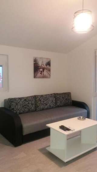 Апартаменты Apartment Vila Mirela Кримовица Апартаменты с 1 спальней-57